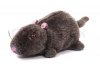 2911688-sweet-toy-rat-on-the-white-background.jpg